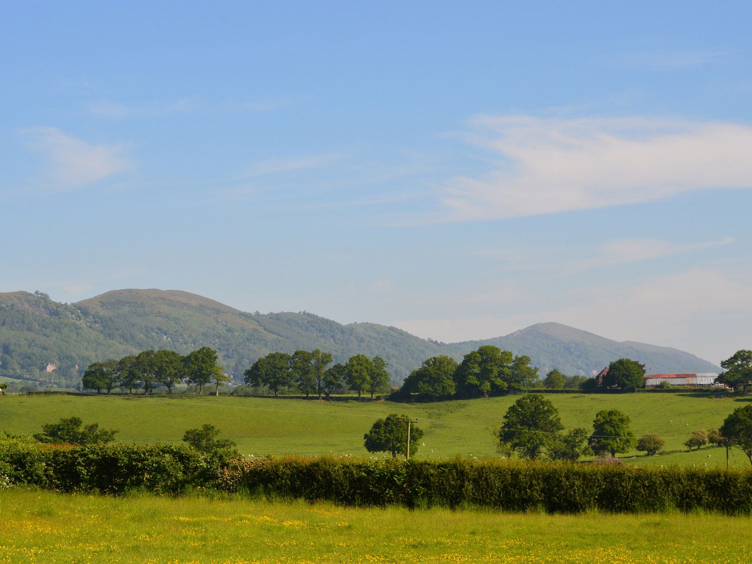 A green field with trees and hills in the background under a blue sky at Mortons Cottage in Castlemorton near Malvern