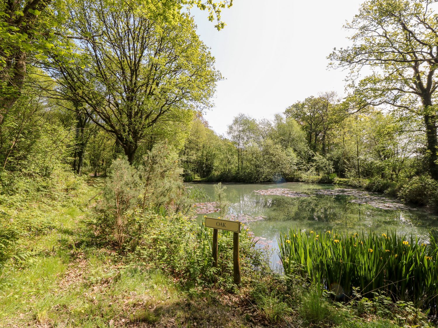 A pond surrounded by trees and plants with a sign labeled Oak at Dove Lodge in Highampton near Sheepwash