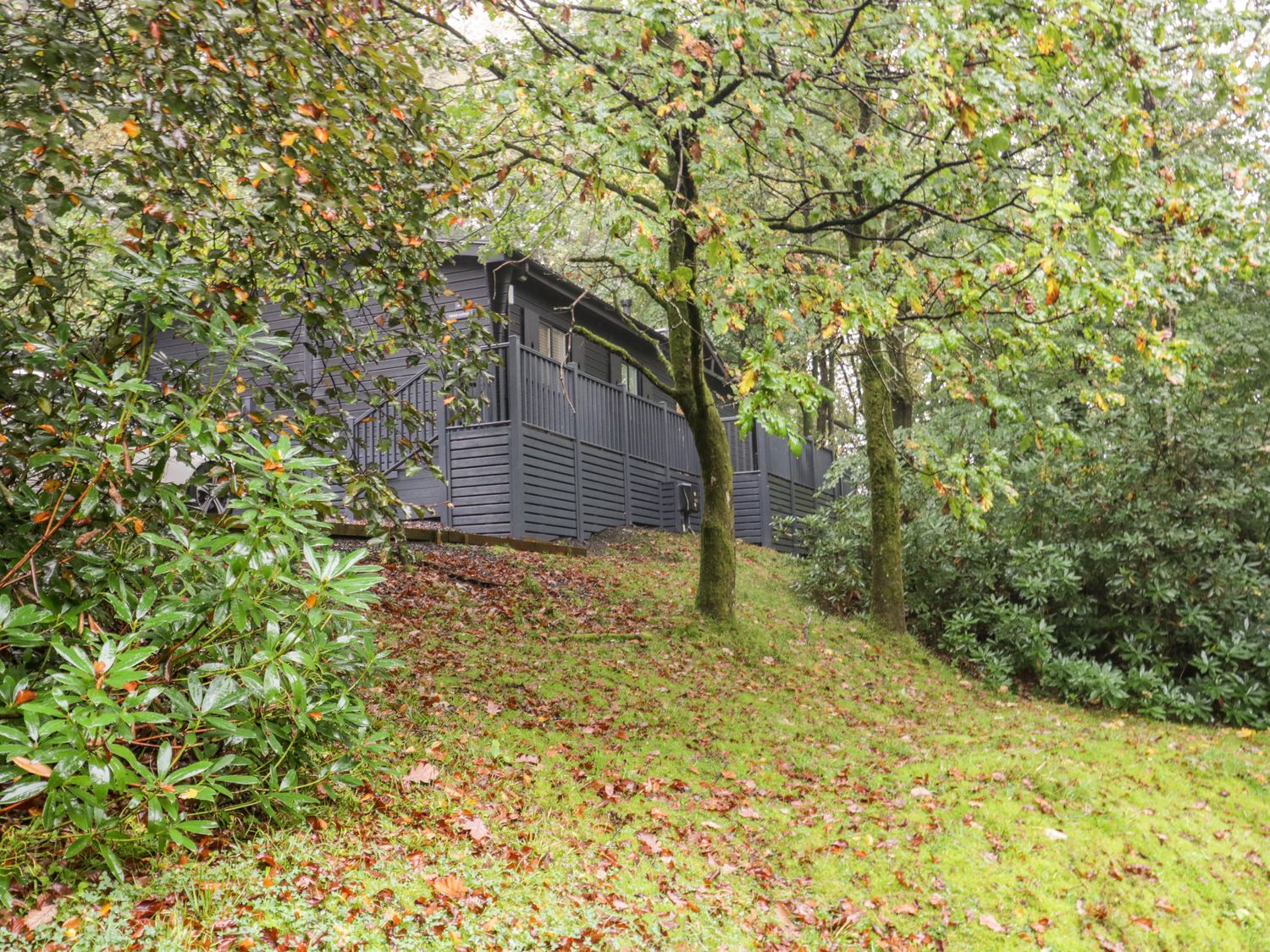 Tree Lodge - Lake District - 1068886 - photo 1