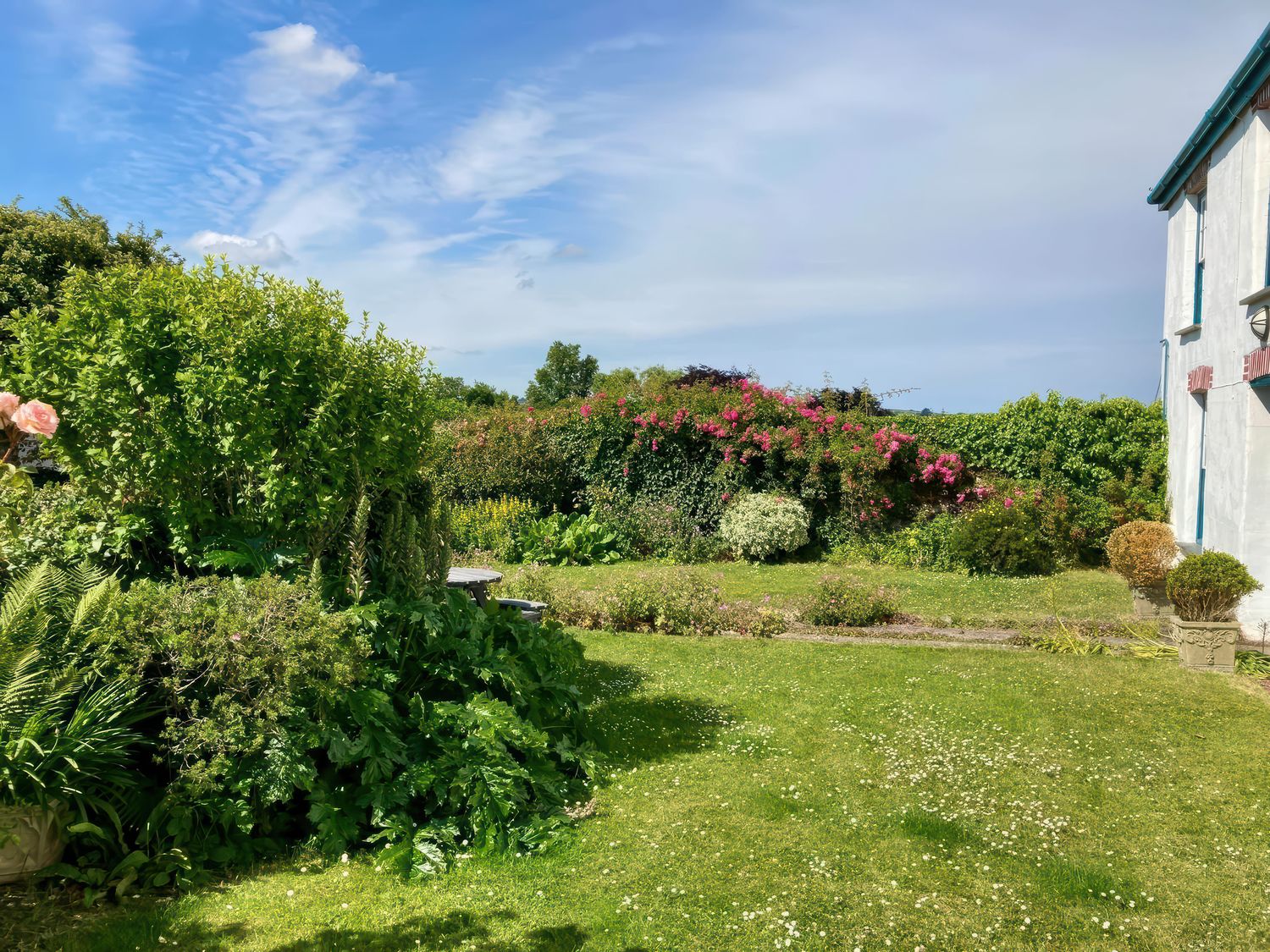 A garden with bushes flowers and grass next to a building at Langford Barton in Marhamchurch near Widemouth Bay