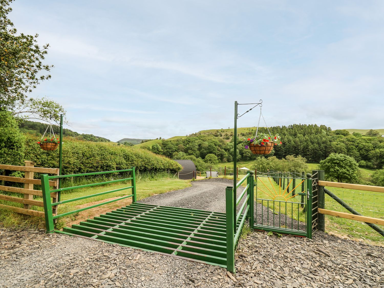 Hwyl                     photo 22