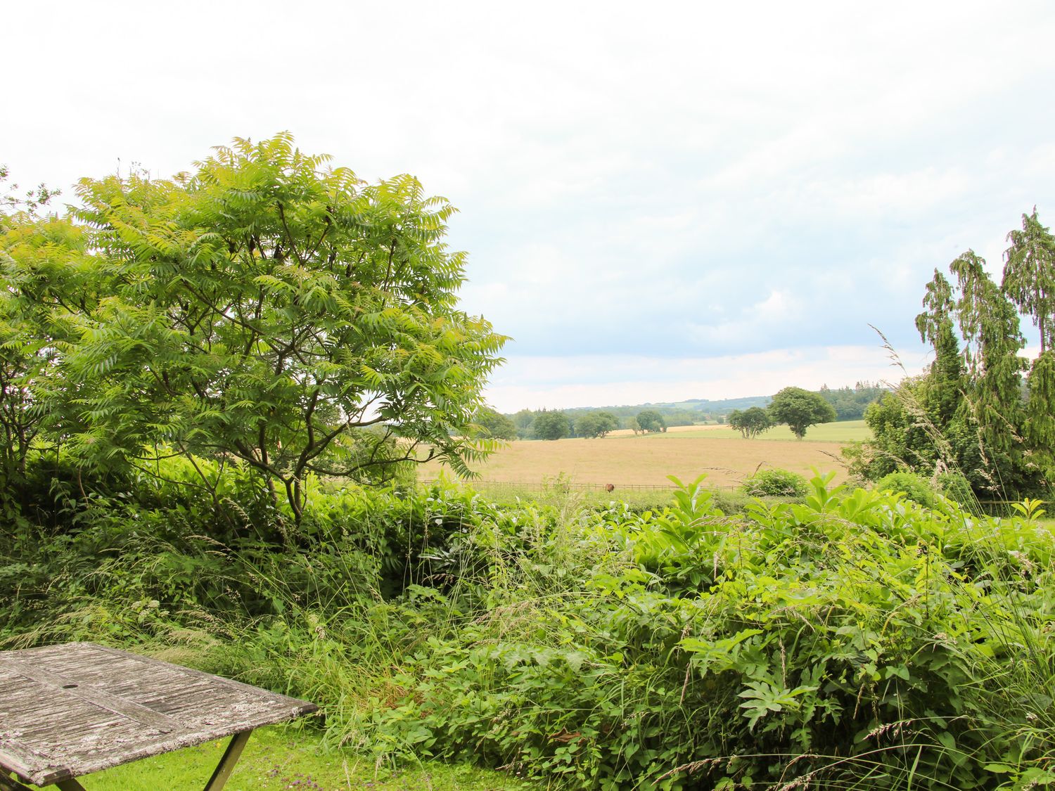 The Butler’s Quarters photo 30
