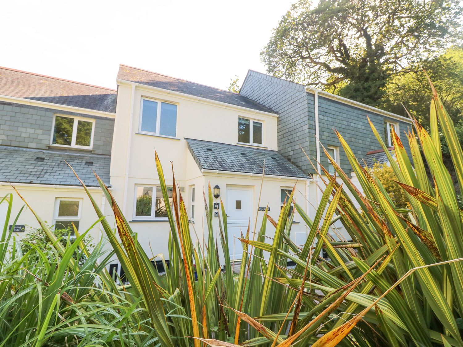 A white two story house with multiple windows and a door partially obscured by tall green plants at Owls Roost in Pendra Loweth near Falmouth