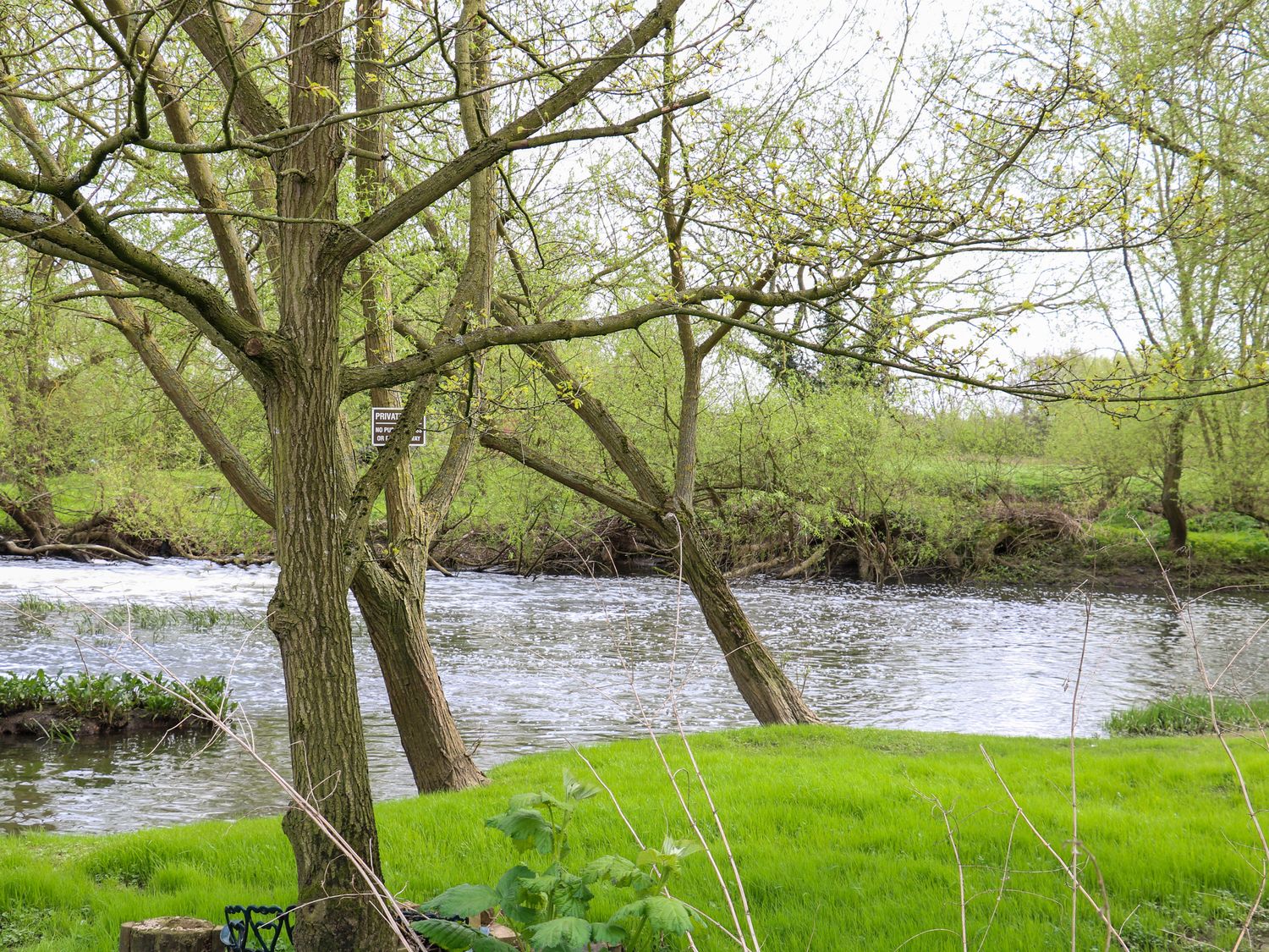 A river with trees and green grass by the bank at Periwinkle Cottage in Barrow Upon Soar