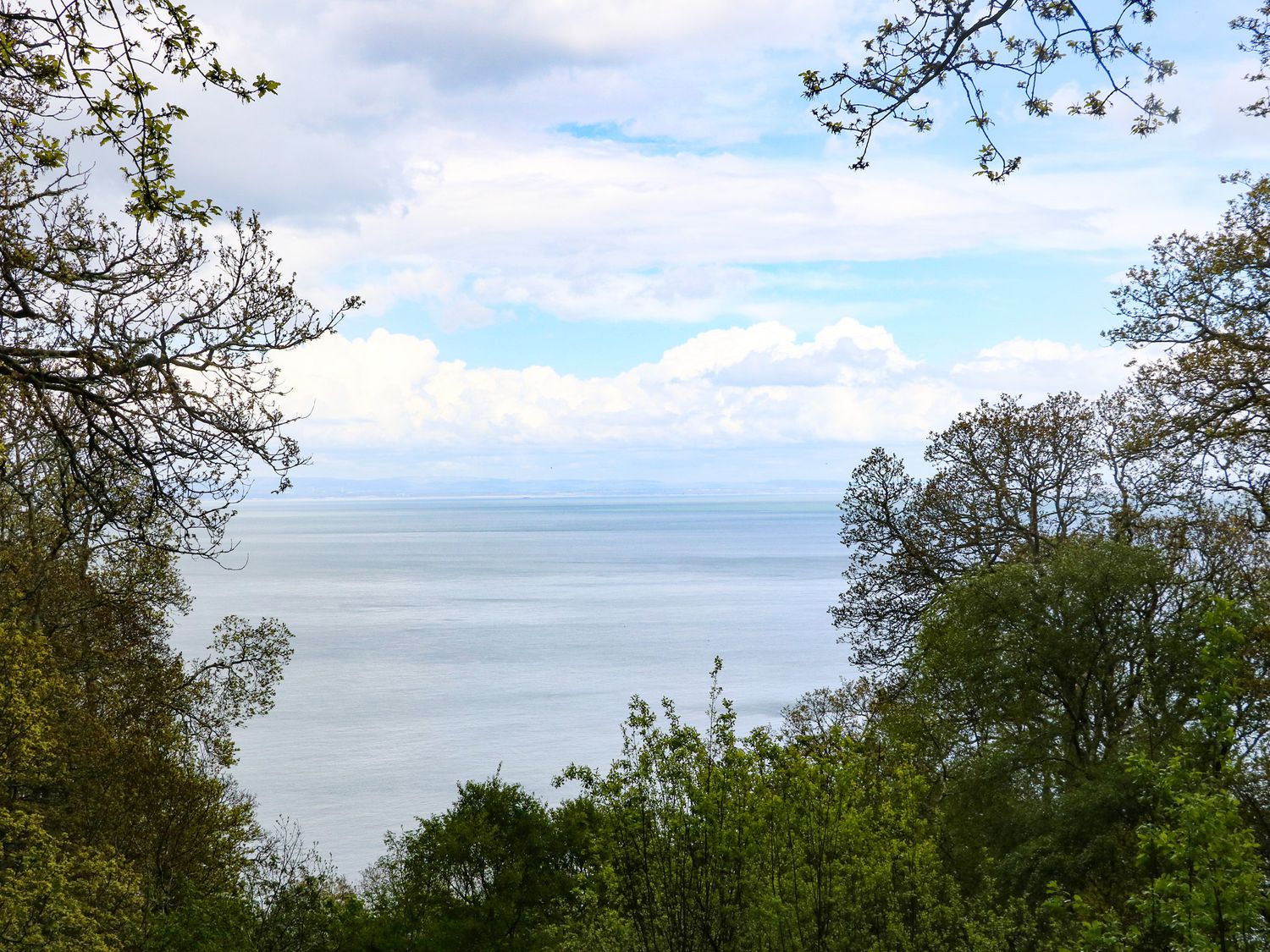 A view of the sea with trees in the foreground and clouds in the sky at Twigs in Woody Bay