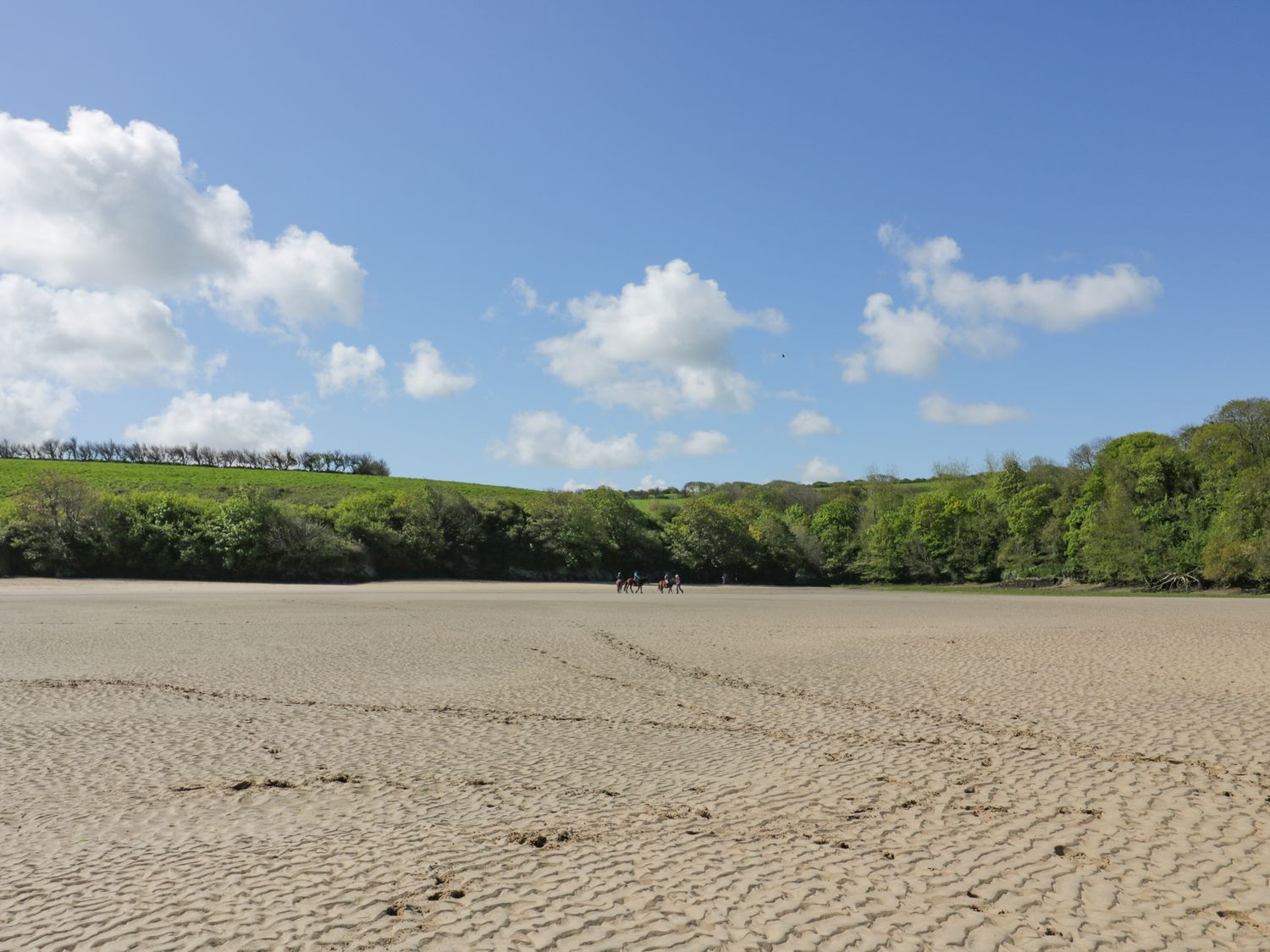 A sandy beach with three people on horseback near green trees and grassy hills at Endless Summer in Newquay