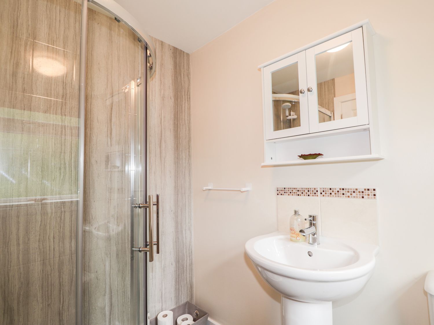 A bathroom with a glass shower enclosure a white sink with a mirror cabinet above and toilet paper rolls at Alturlie in Inverness