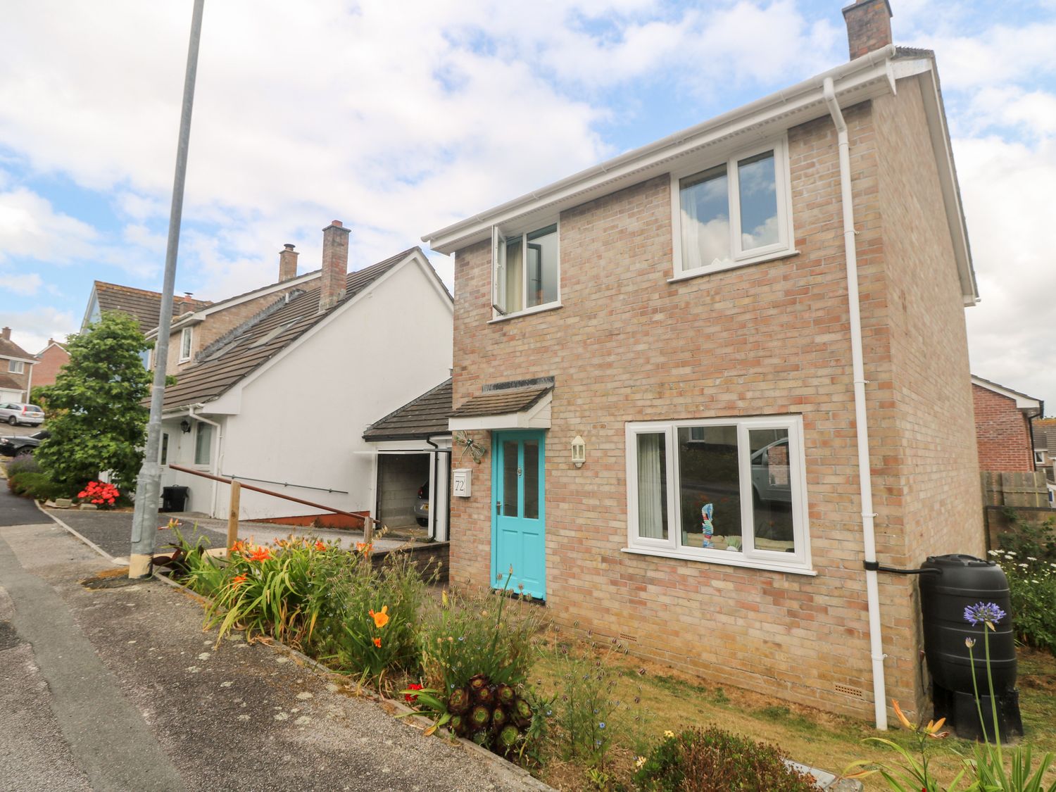 Dragonflies &amp; Seahorses