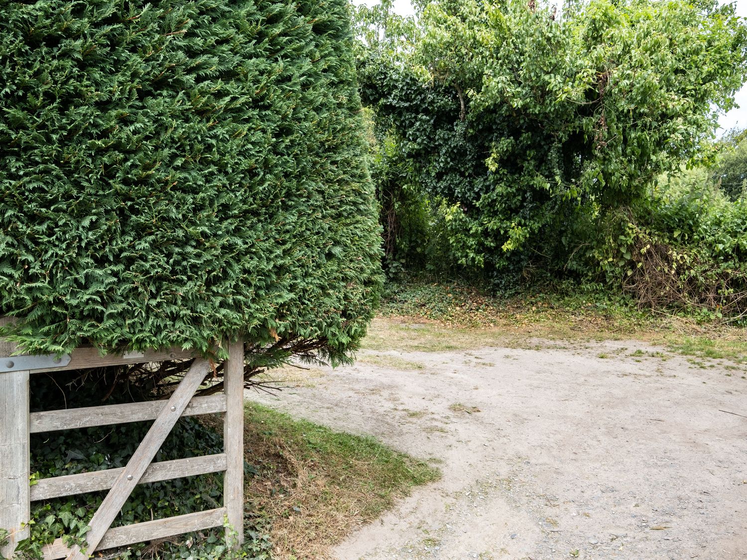 A dirt path beside a wooden gate and dense greenery at Porthilly Greys in Rock