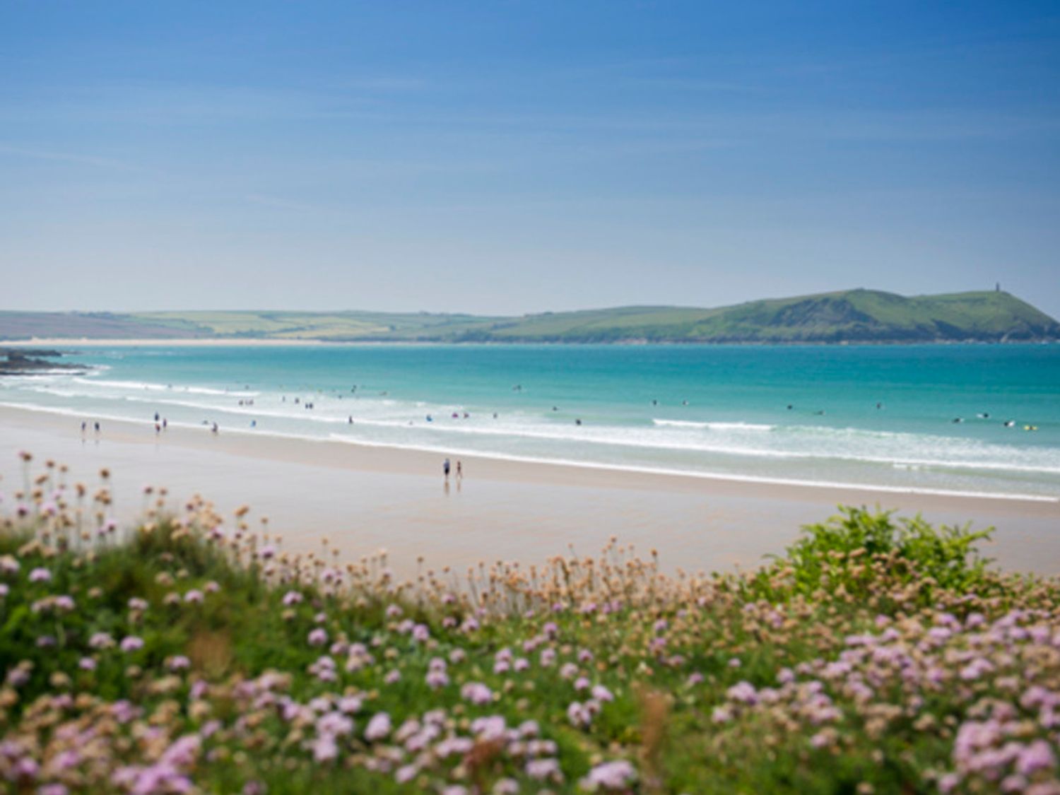 A beach with people in the water and walking on the sand with flowers in the foreground at The Holiday House 2 Atlantic Mews in Polzeath