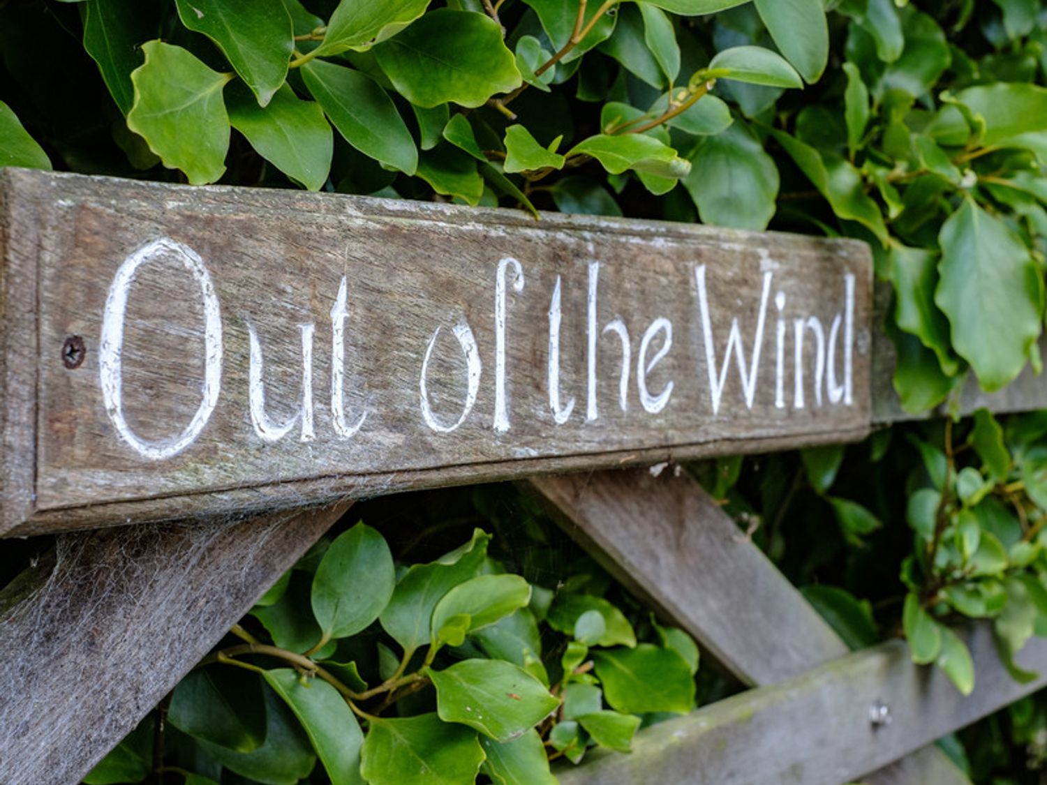 A wooden sign with the text Out of the Wind surrounded by green leaves at Out of the Wind in Rock
