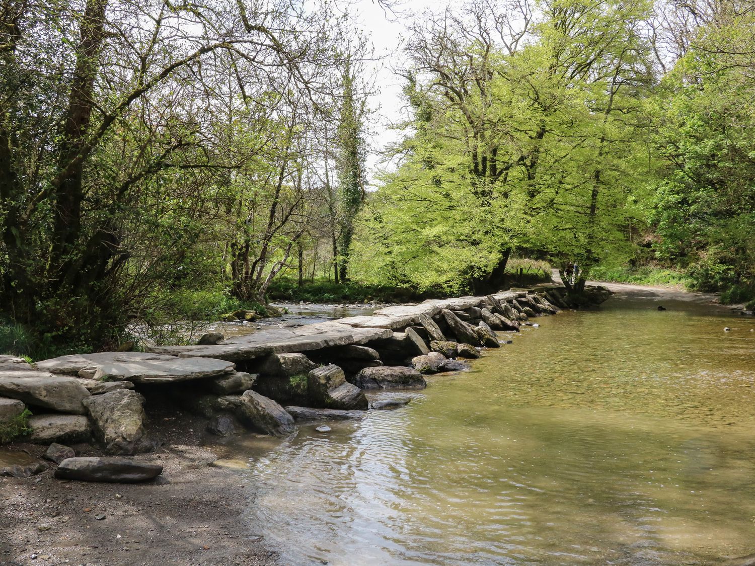 A stone ford crossing a shallow river with trees on both sides at Red Deer Cottage in Wheddon Cross