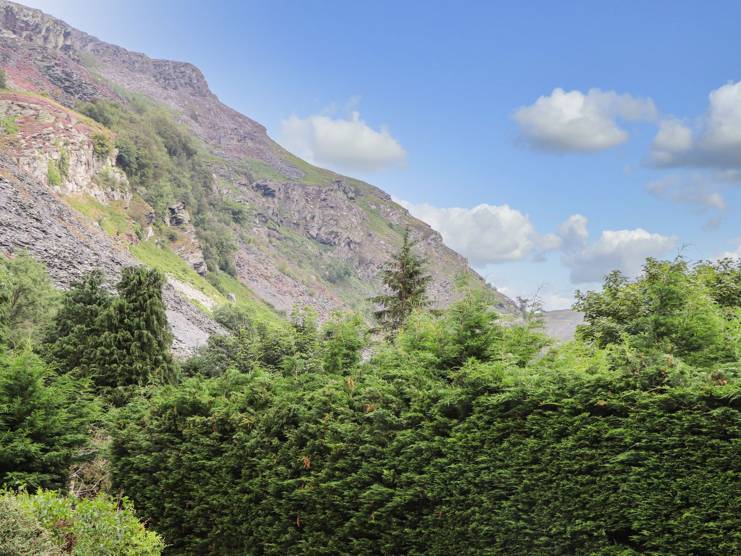 A mountain landscape with rocky slopes and green trees under a blue sky with clouds at Awel Y Berwyn in Llangynog