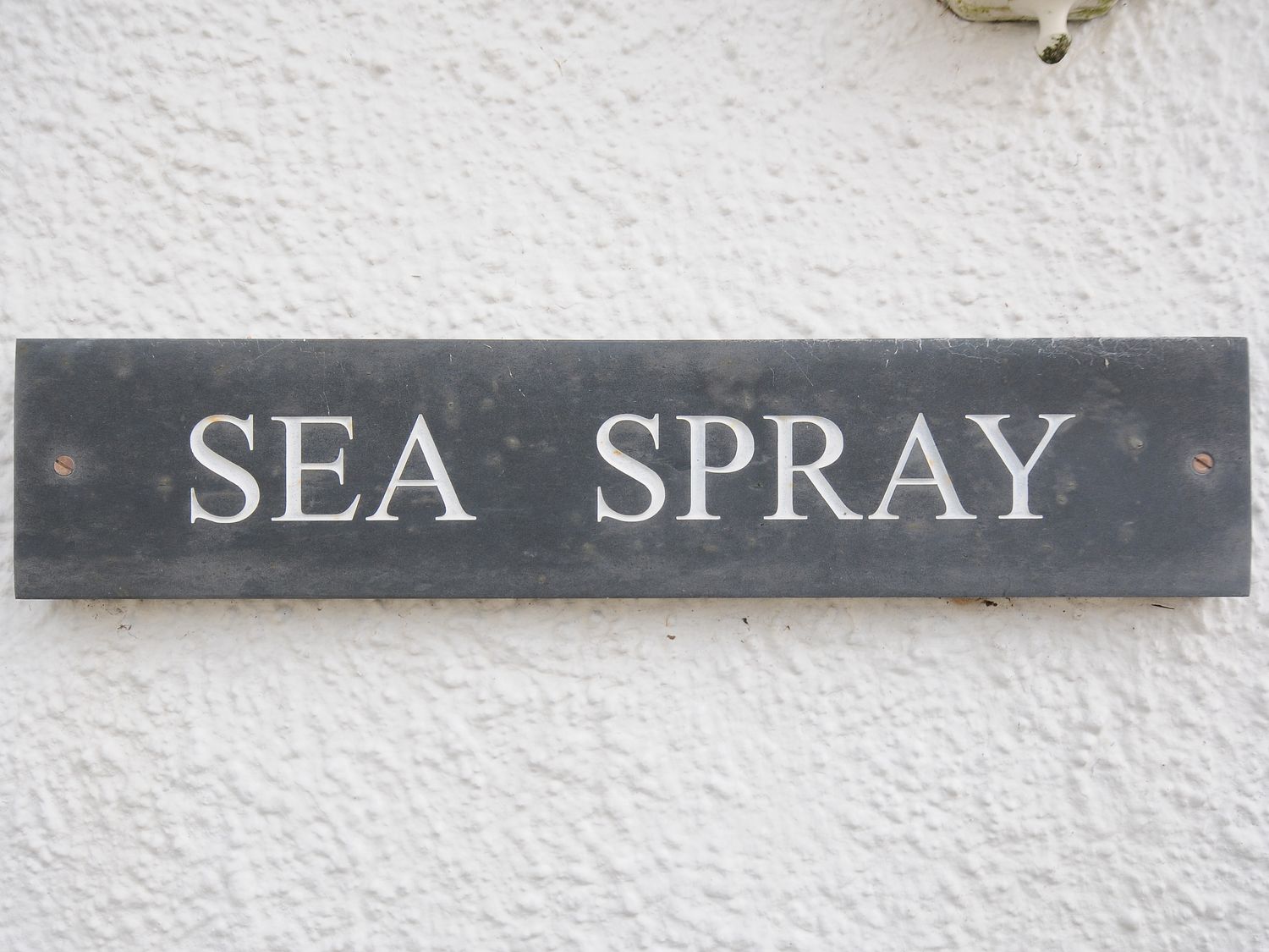 Sea Spray                     photo 2