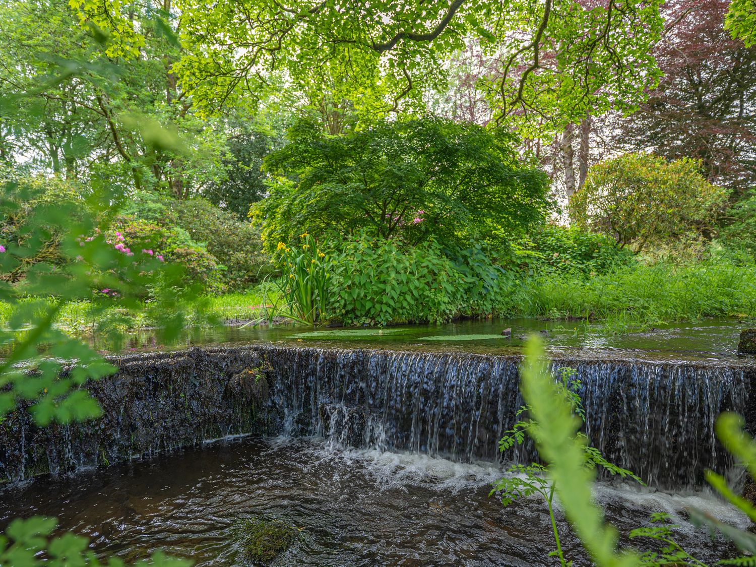 A small waterfall in a garden with green trees and plants at Low Graythwaite Hall in Hawkshead