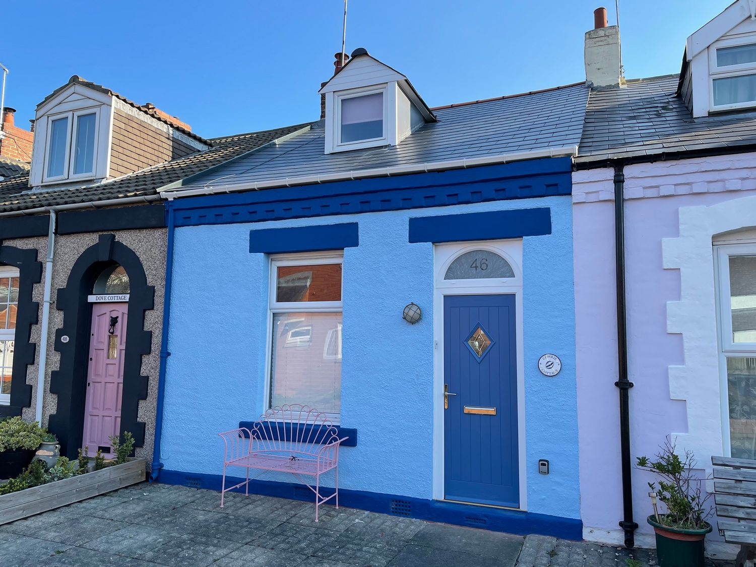 Cowrie Cottage Cullercoats Holiday Cottage Bird Spot cowrie-cottage-cullercoats-holiday-cottage-bird-spot