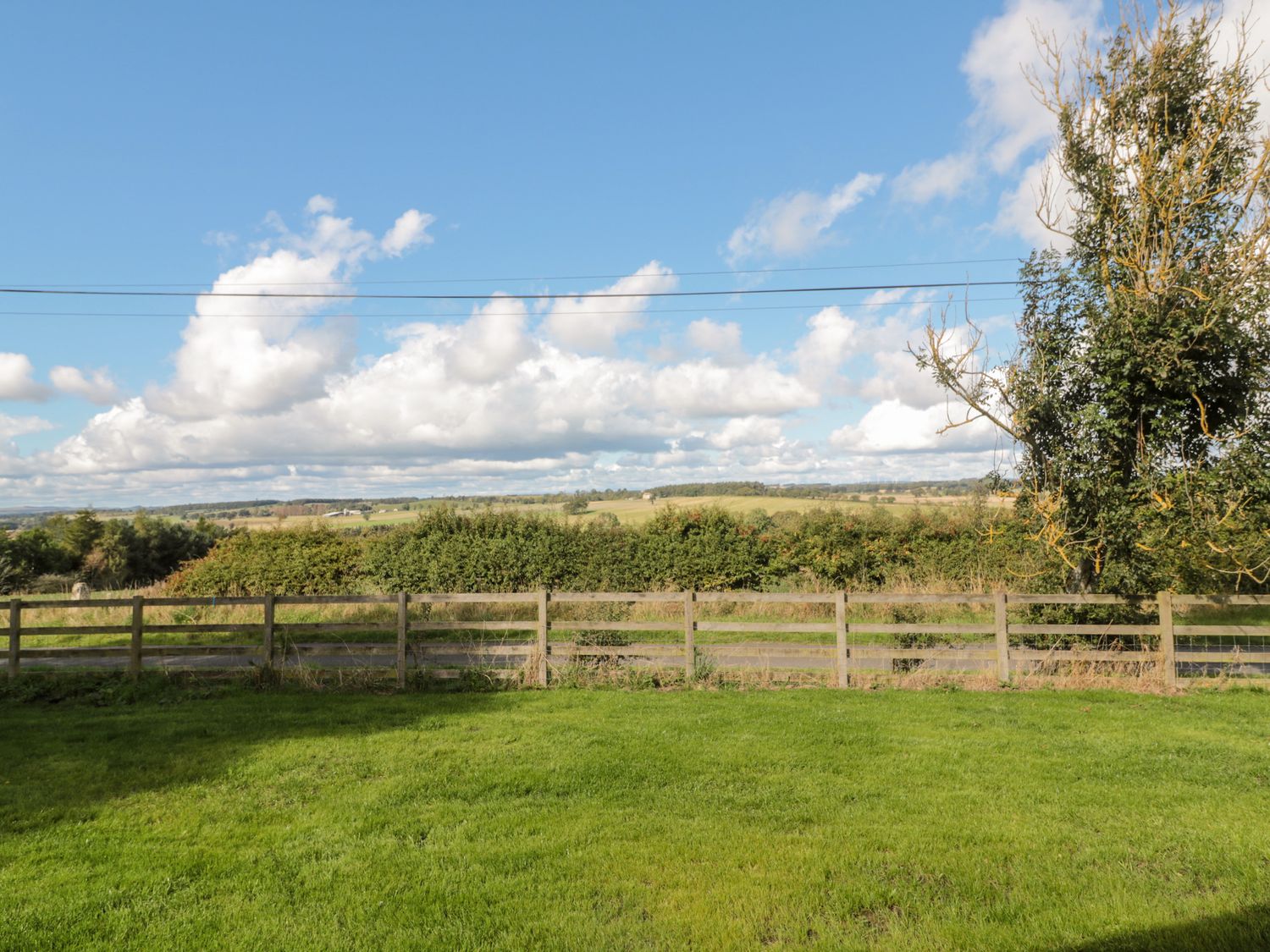 Clover Cottage                     photo 30