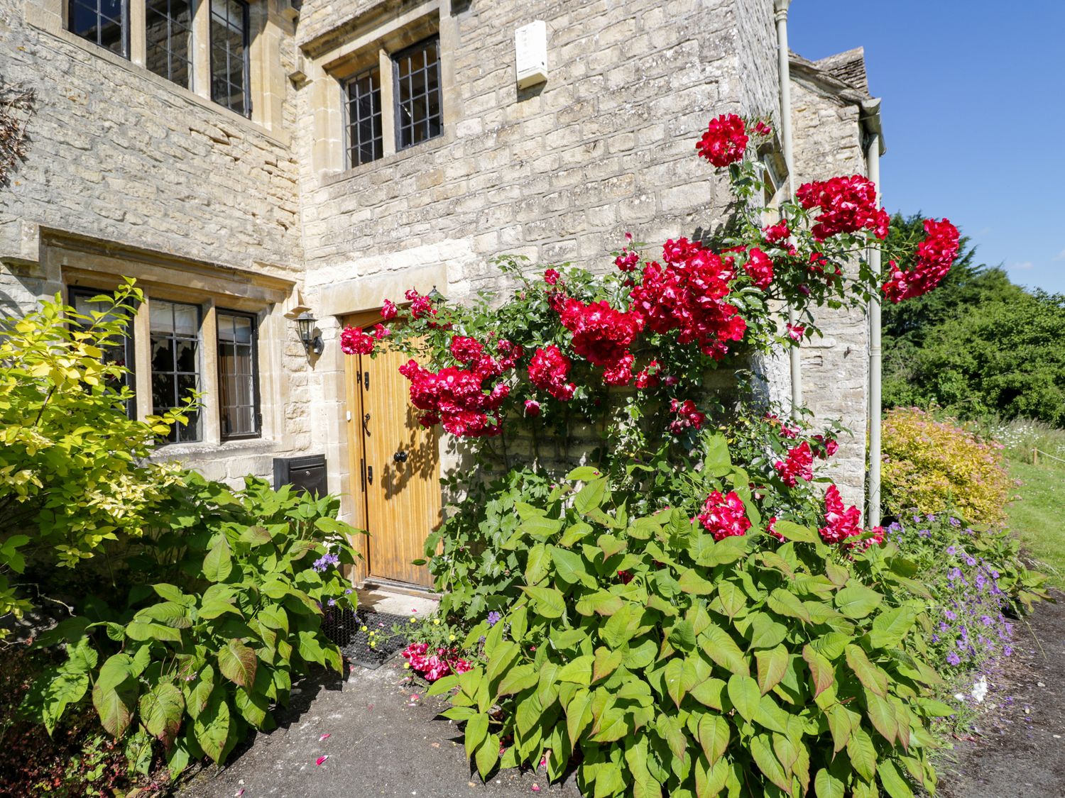 A stone house exterior with a wooden door and windows surrounded by green plants and red flowers at Rood Cottage in Shilton near Burford