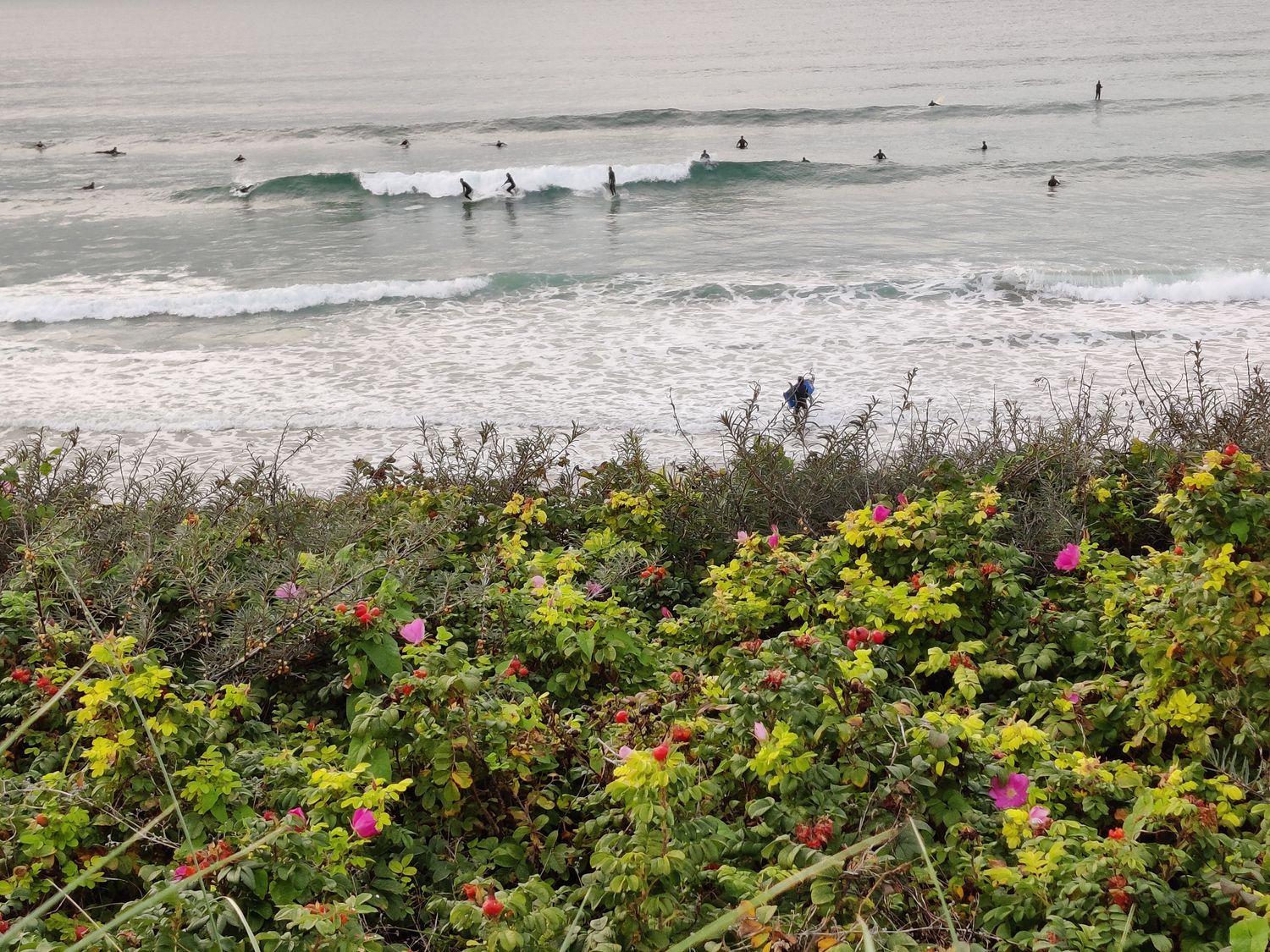 Fistral Retreat                     photo 39