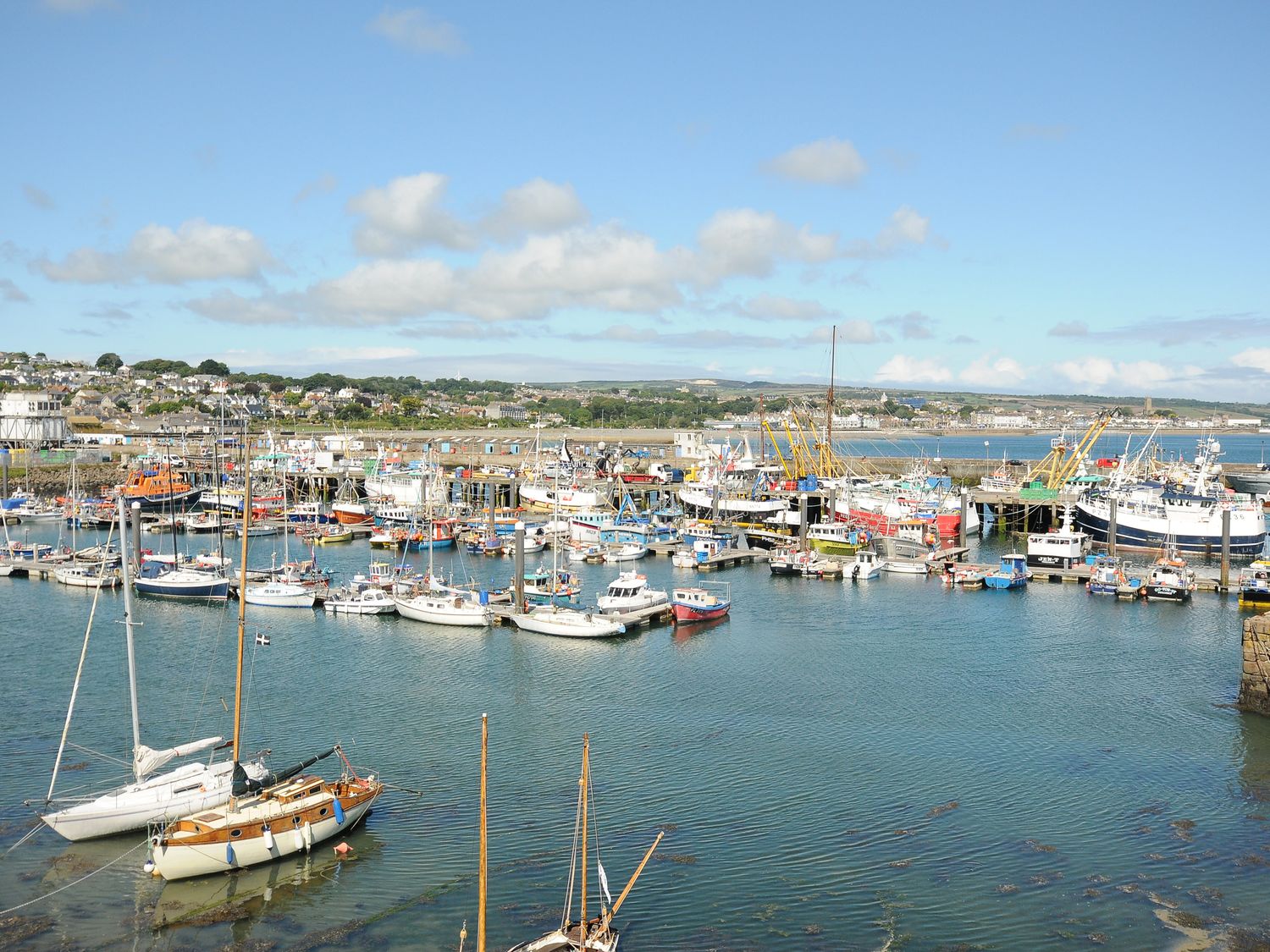A harbor with many boats and yachts docked near a town and a coastline at Walter in Newlyn