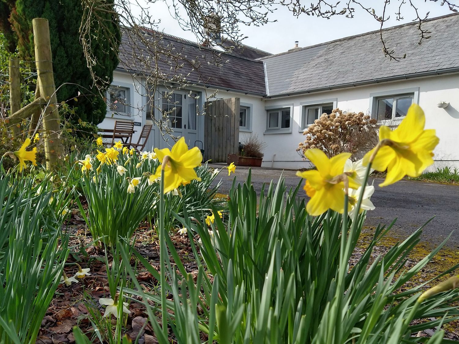 Dinefwr Cottage - South Wales - 1094698 - photo 1