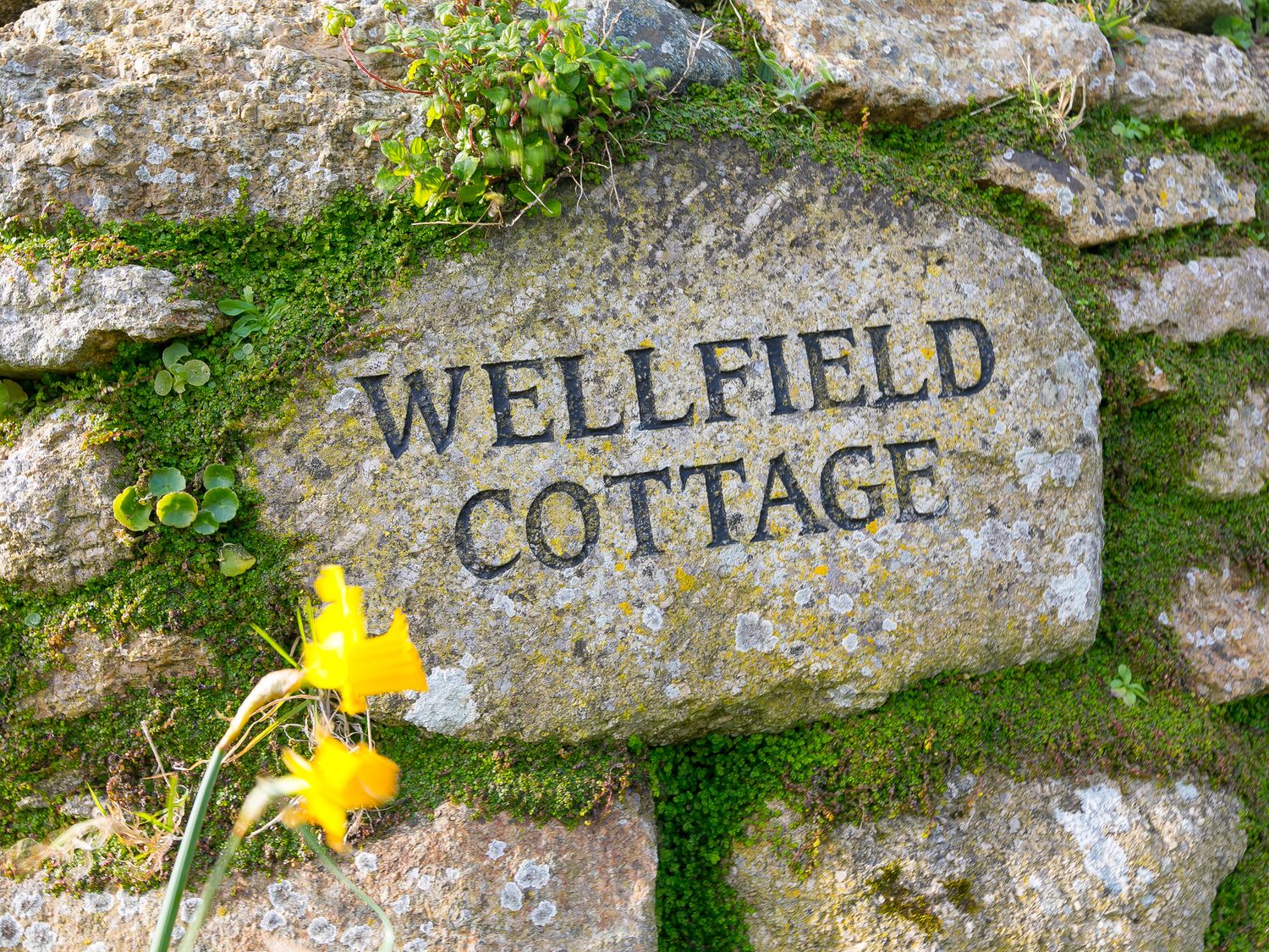 Wellfield Cottage                     photo 2