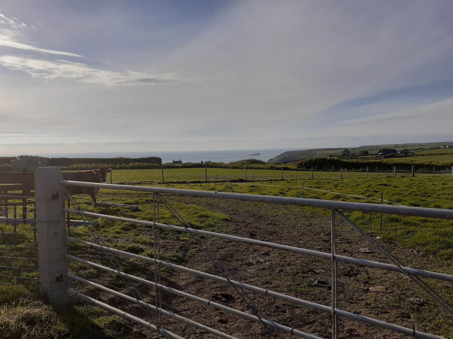 Wellfield Cottage                     photo 38