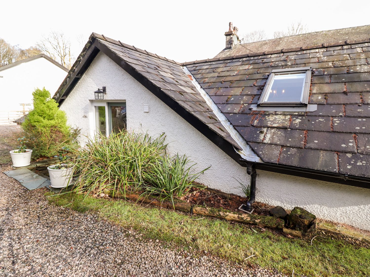 Exterior view of a cottage wall with a sloped roof skylight plants gravel path and potted shrubs at Peony Cottage Lakeside near Newby Bridge