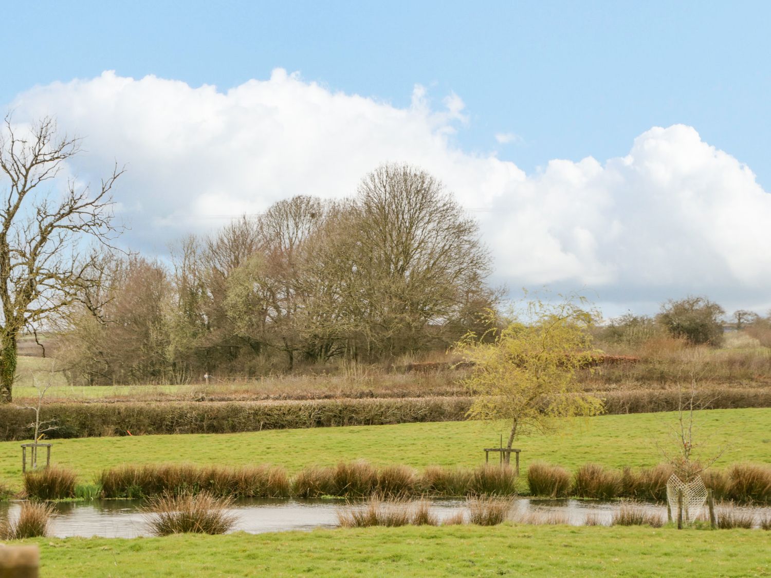 A pond with grass and trees in a rural field at Orchard Lodge in Hockworthy near Sampford Peverell Devon