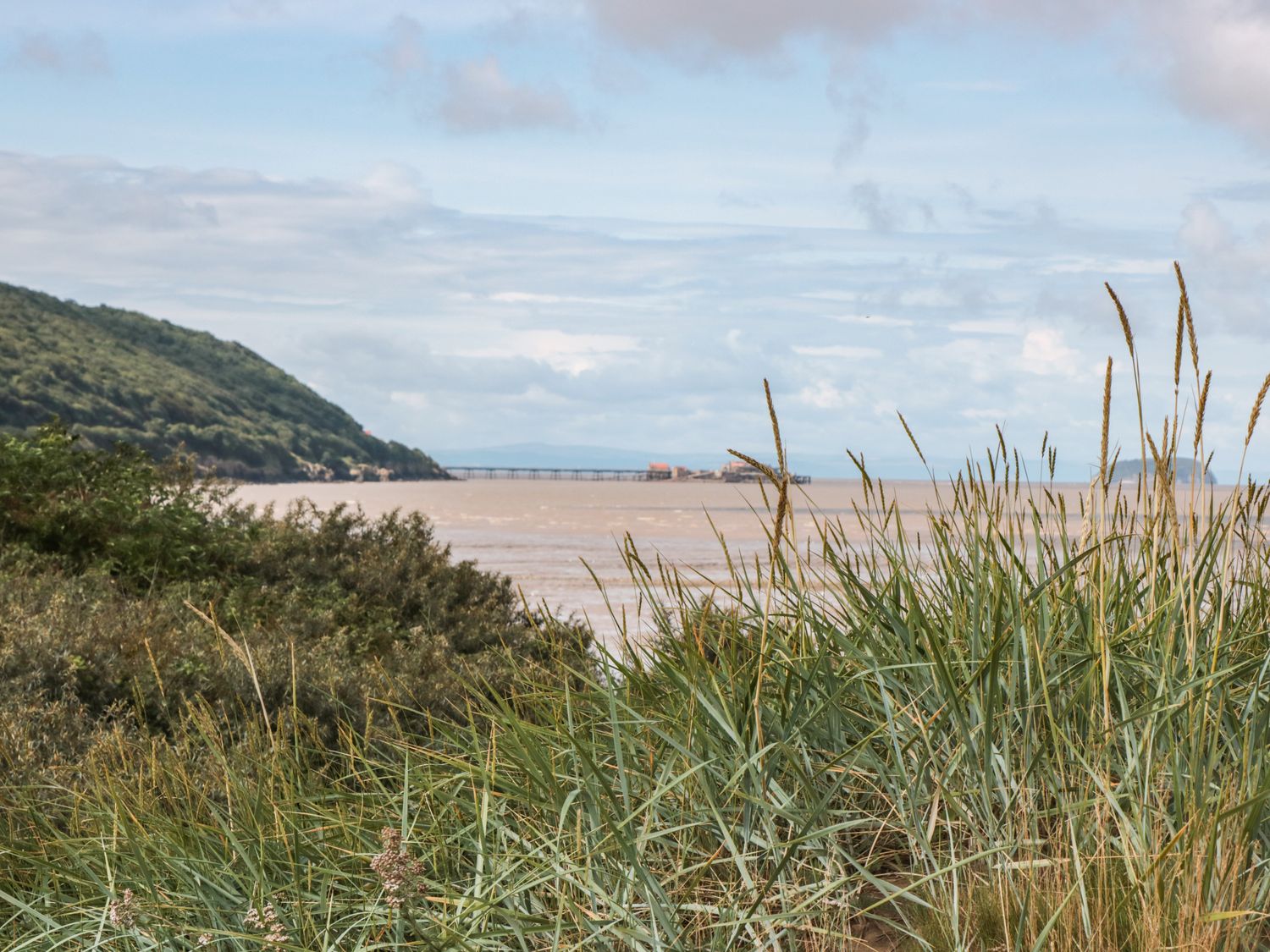 Grassy vegetation with a body of water and hills in the background at Little Walton in Burnham-On-Sea