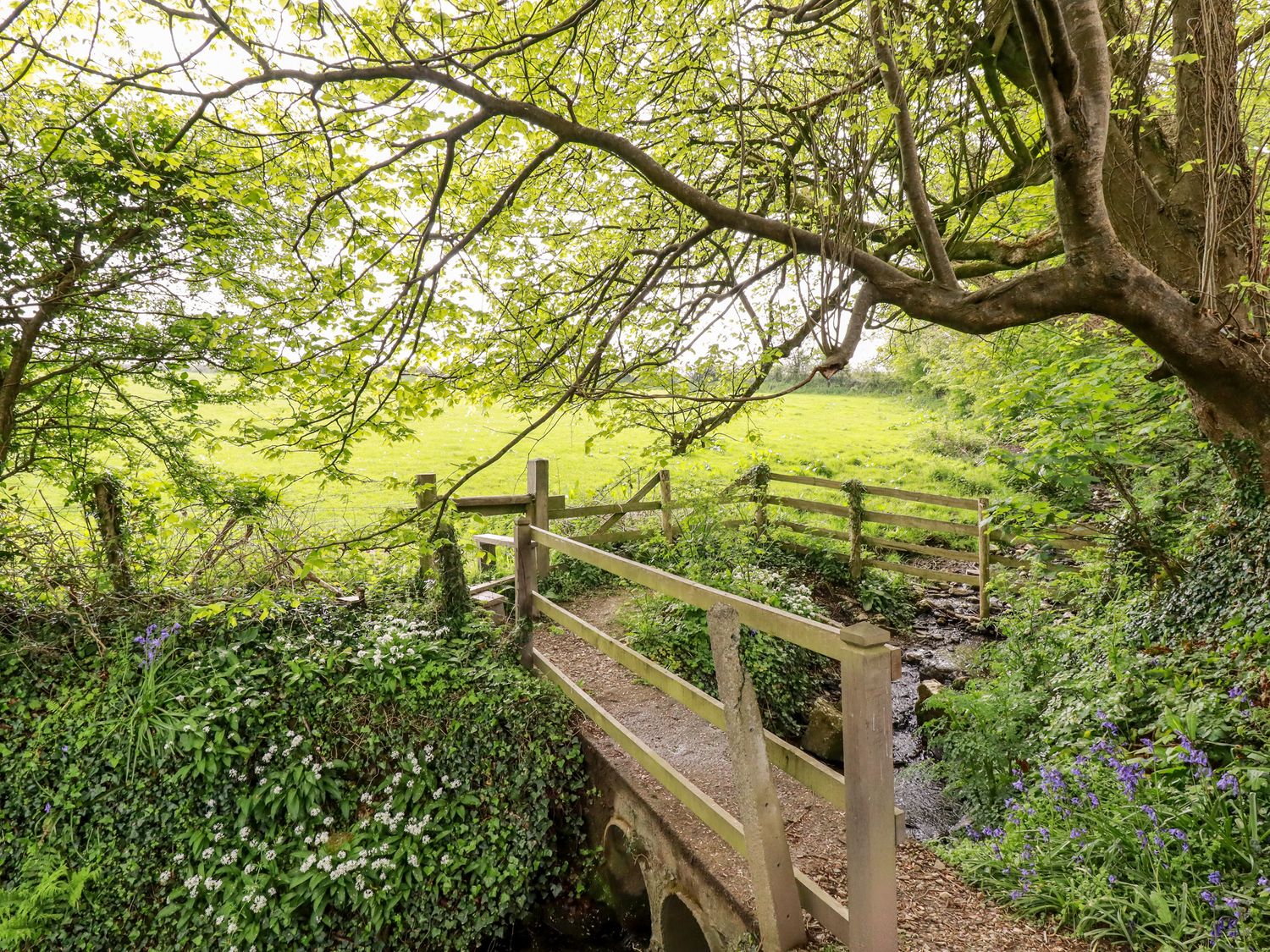 A small wooden bridge crossing a stream surrounded by trees and greenery at 23 Bossiney Bay in Tintagel