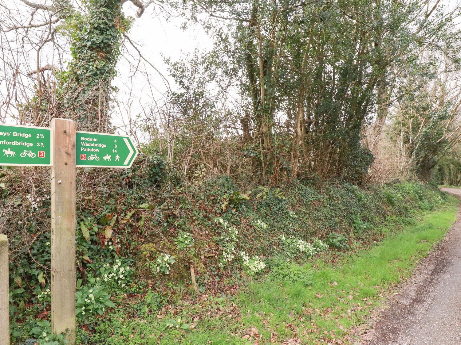 A countryside path with a green signpost and trees at Primrose in Hellandbridge near Bodmin