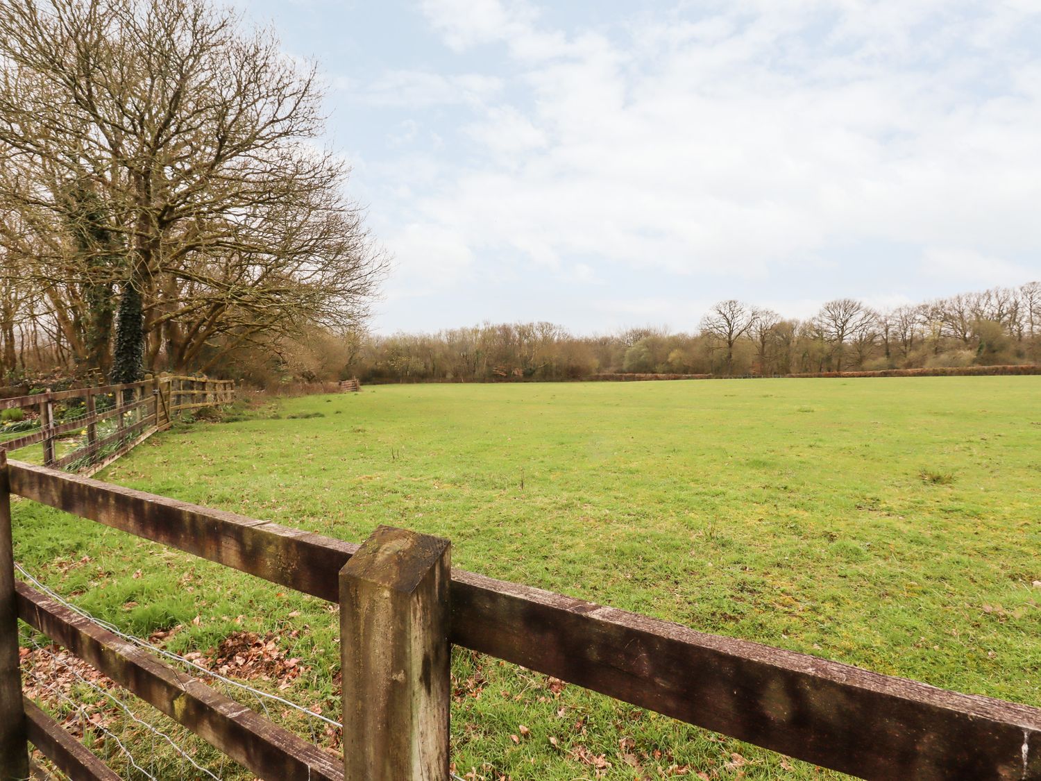 Glebe Farm Cottage                     photo 31