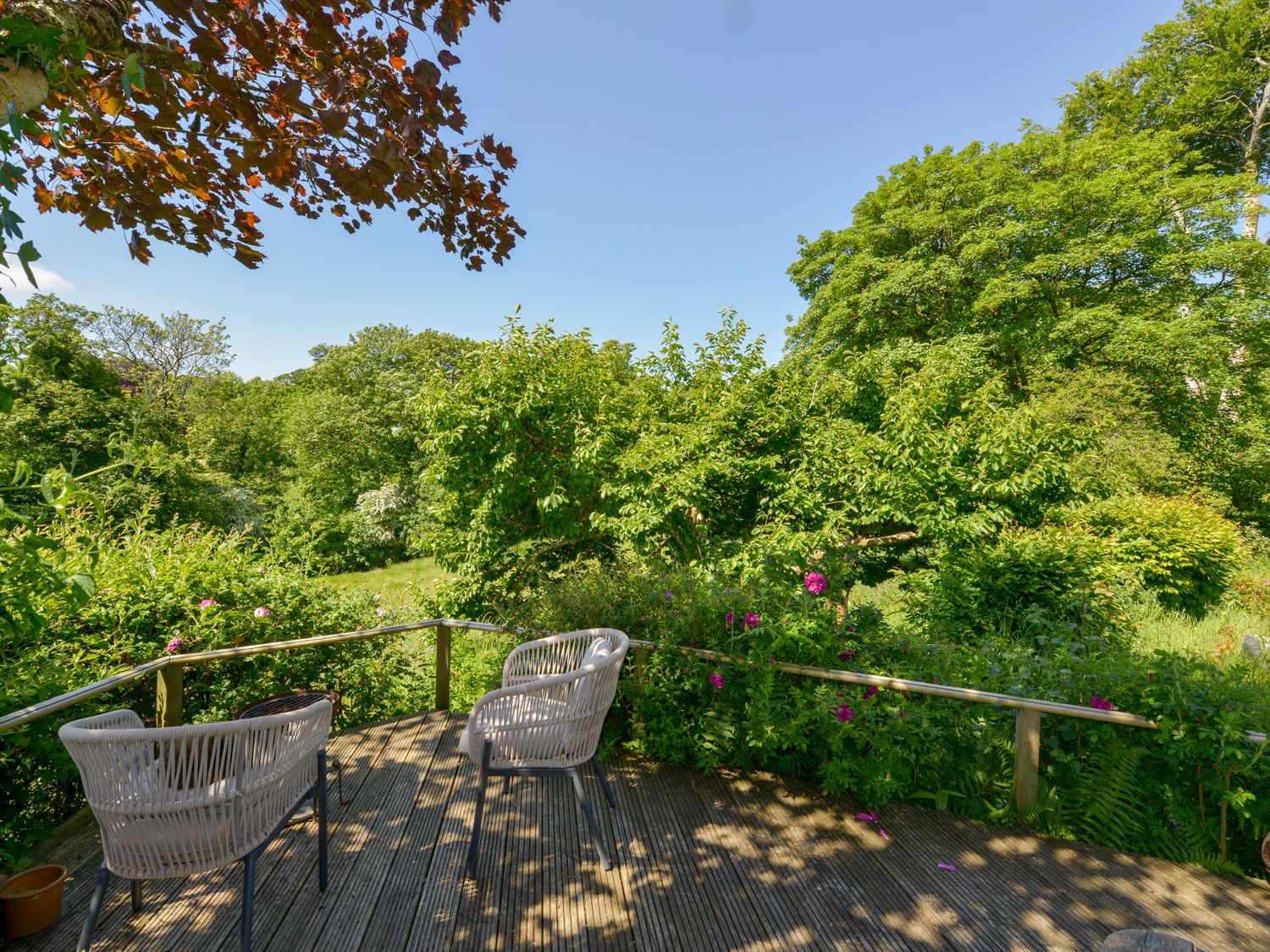 Bluebell Cottage                     photo 37