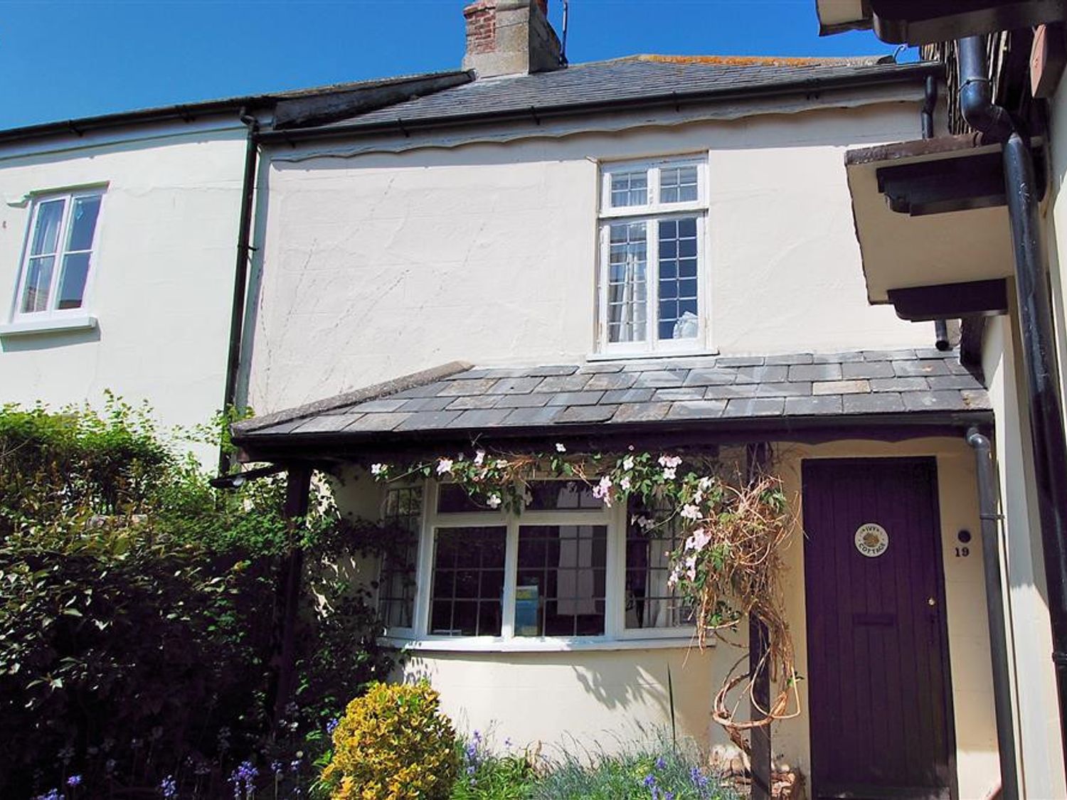 Ivy Cottage - Dorset - 1105961 - photo 1