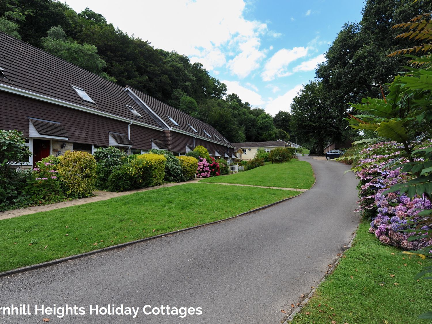 Row of cottages with bushes and flowers alongside a curved road with trees in the background at 36 Fernhill Heights in Charmouth