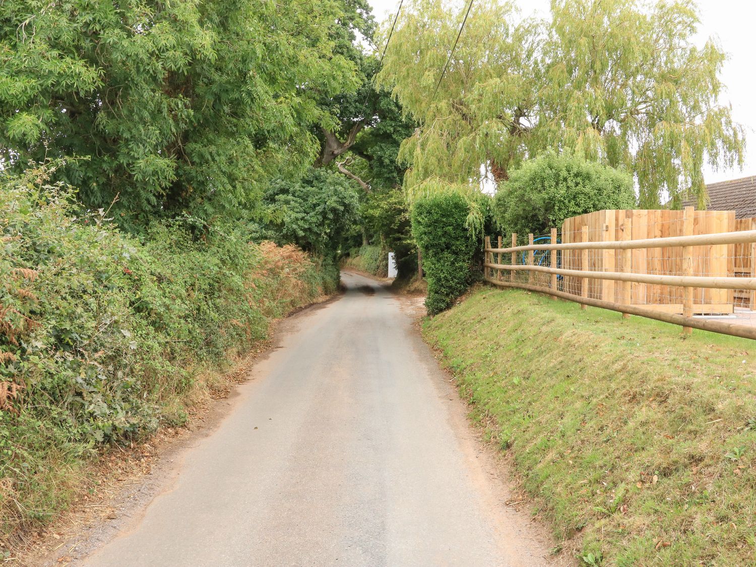 A narrow country road with trees and bushes on the left and a wooden fence and grassy bank on the right at Sawtons Cottage 2 in Dawlish
