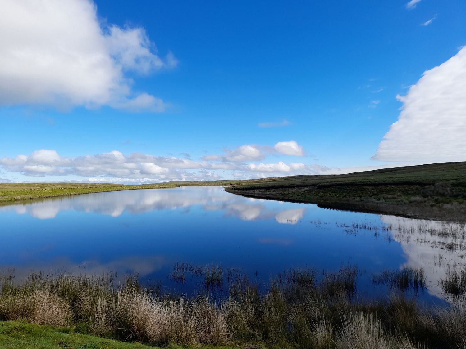 A body of water reflecting clouds and blue sky surrounded by grassy land at Chestnut in Nenthall near Alston