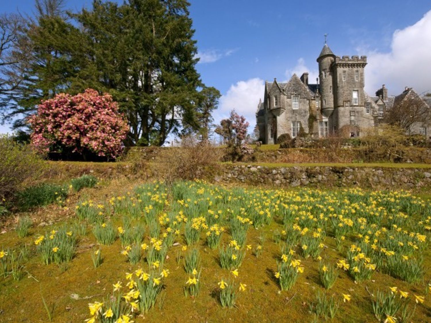 Achnacloich - Scottish Highlands - 1110745 - photo 1