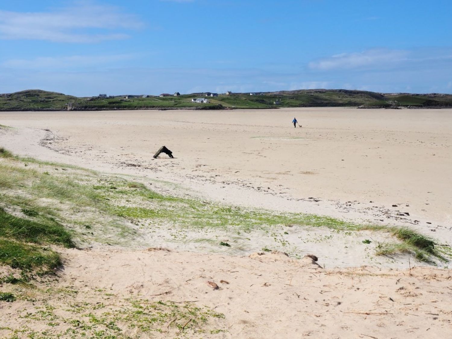 A sandy beach with grass patches and a person walking a dog at 7A Ardroil in Uig Isle Of Lewis