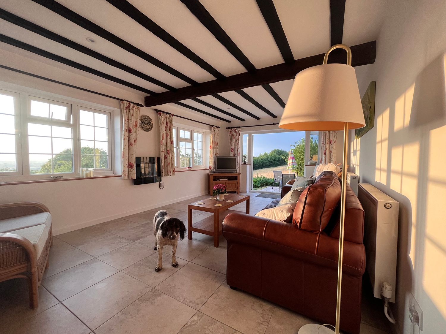 A living room with a dog on the floor a leather sofa a floor lamp and a coffee table at Dorset View in Ibberton Hill near Ibberton