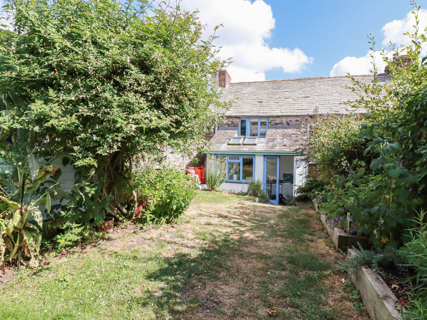 A backyard garden with grass and plants surrounding a house with blue window frames at Gwynn Cottage in St Mabyn