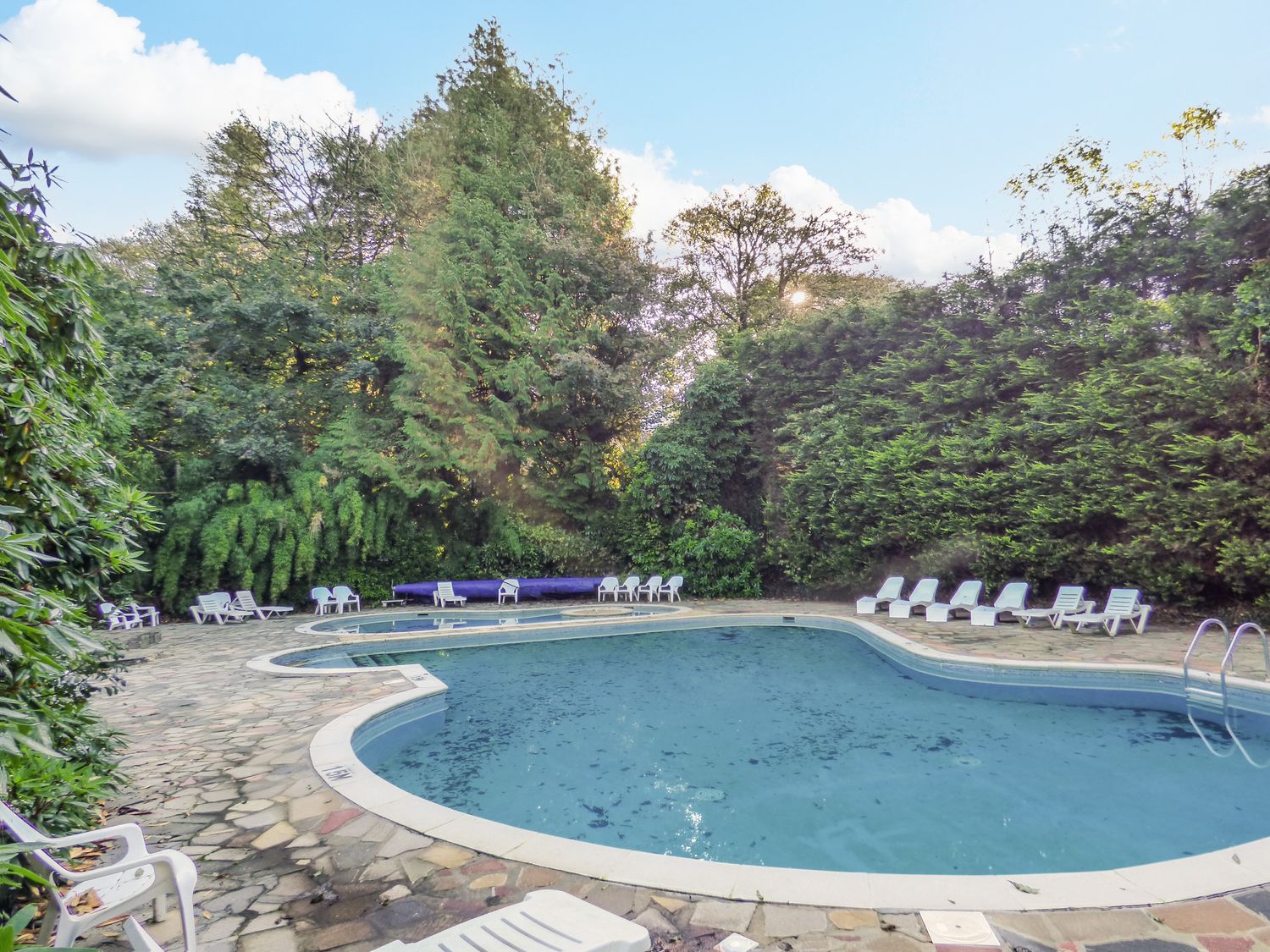 An outdoor swimming pool with white lounge chairs around it surrounded by trees at Lodge 16 in Lanteglos near Camelford