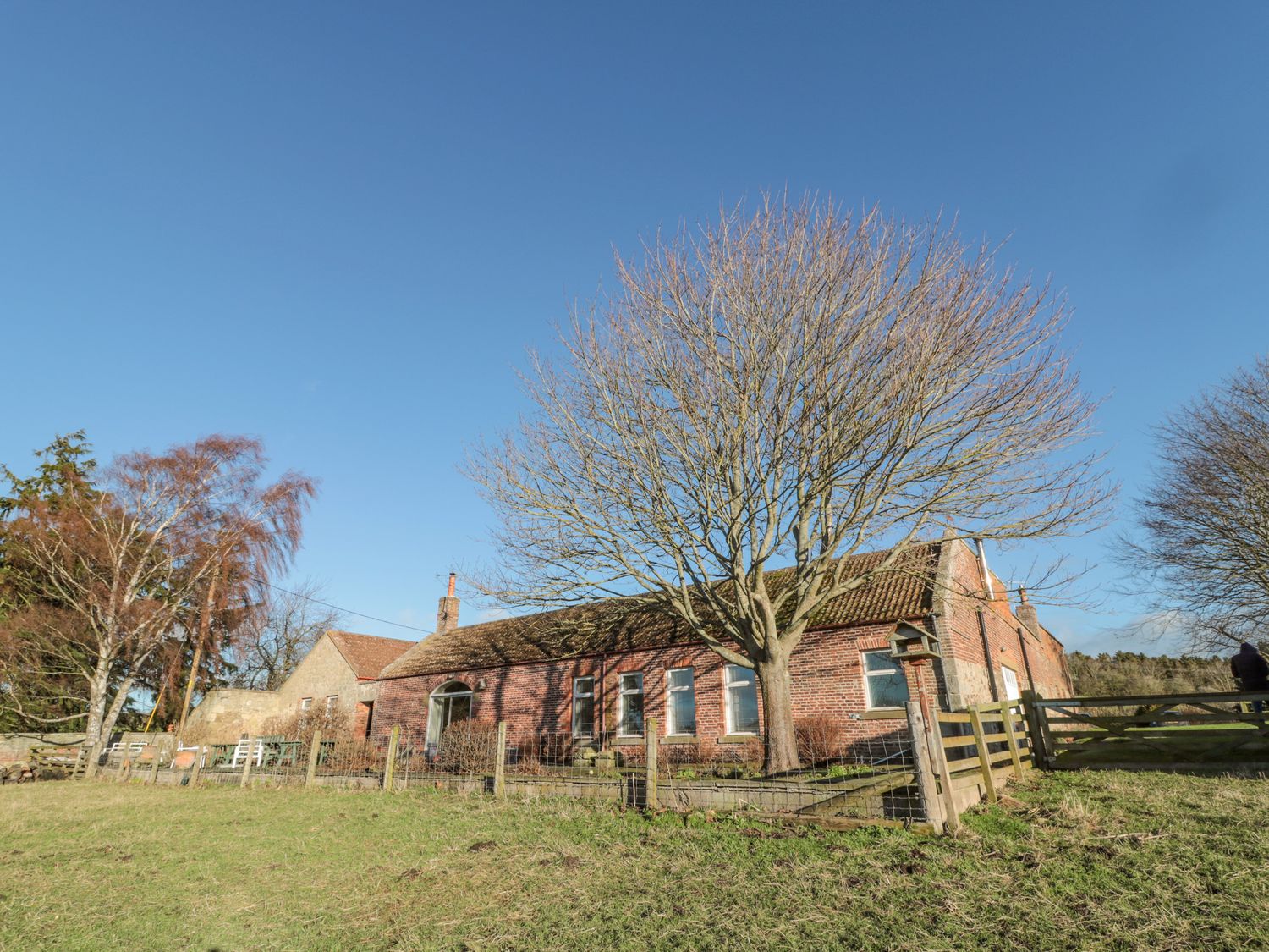 Cherry Studio, CornhillOnTweed Holiday Cottage Bird Spot