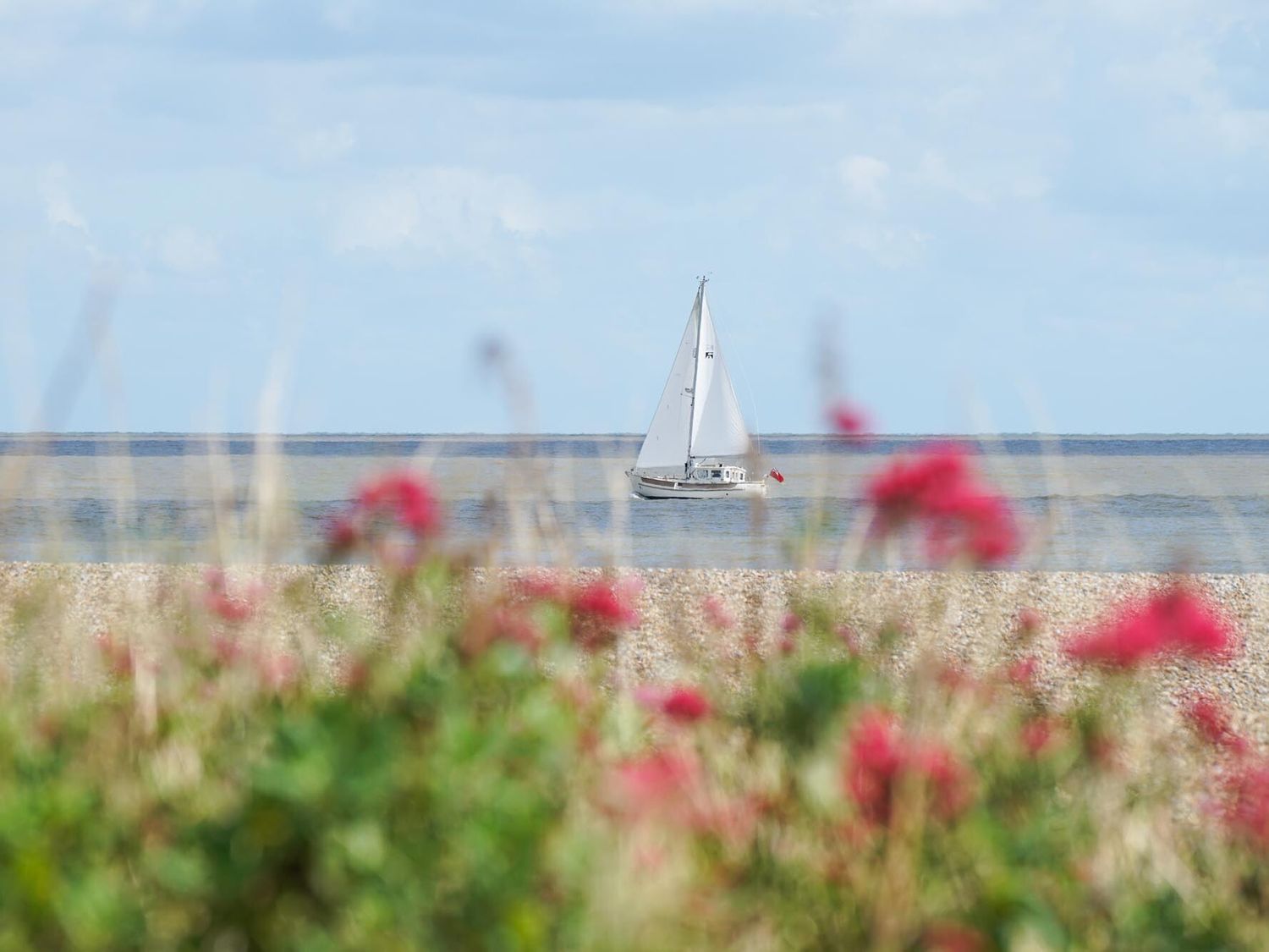 The Hideaway, Aldeburgh                     photo 19