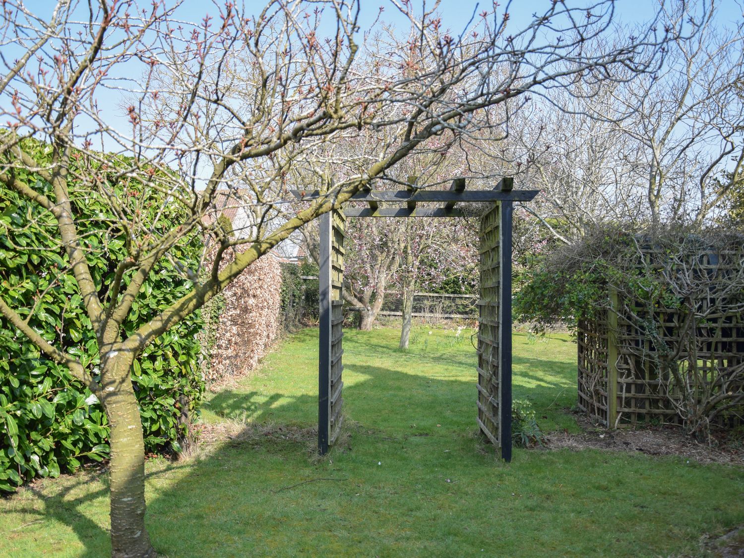 Lavvande, Walberswick                     photo 42