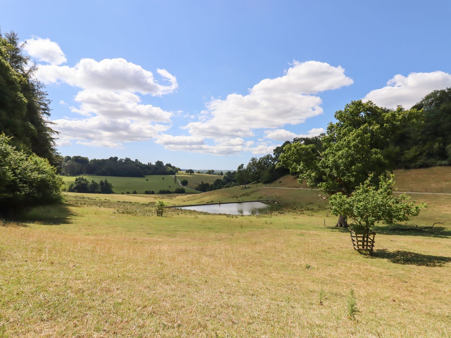 A field with trees and a small pond under a blue sky with clouds at Swandown 11 The Cygnet in Cricket St Thomas