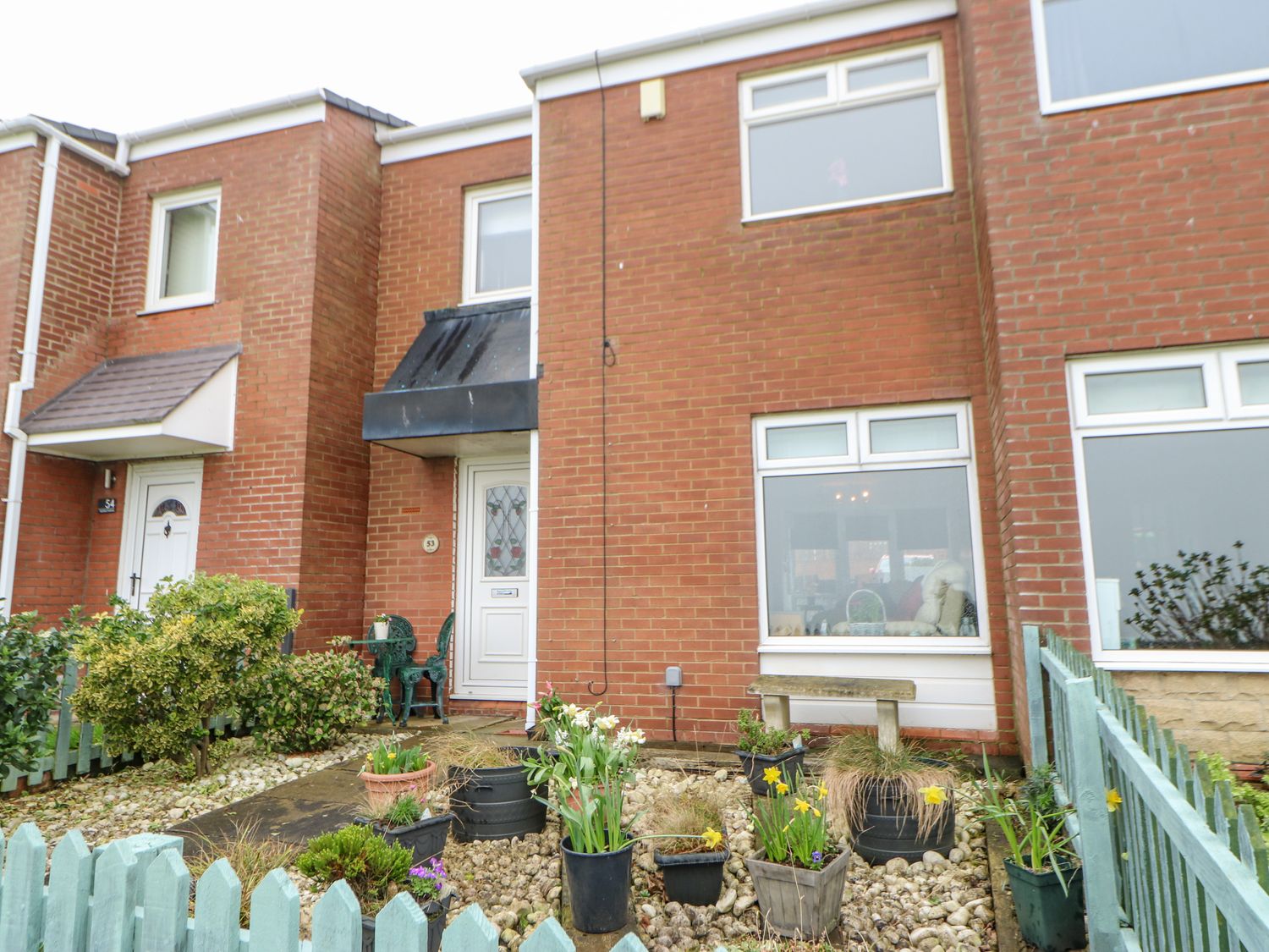 Sea View Cottage, South Shields Holiday Cottage Bird Spot