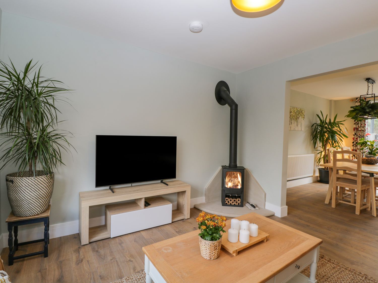 Birch House                     photo 2