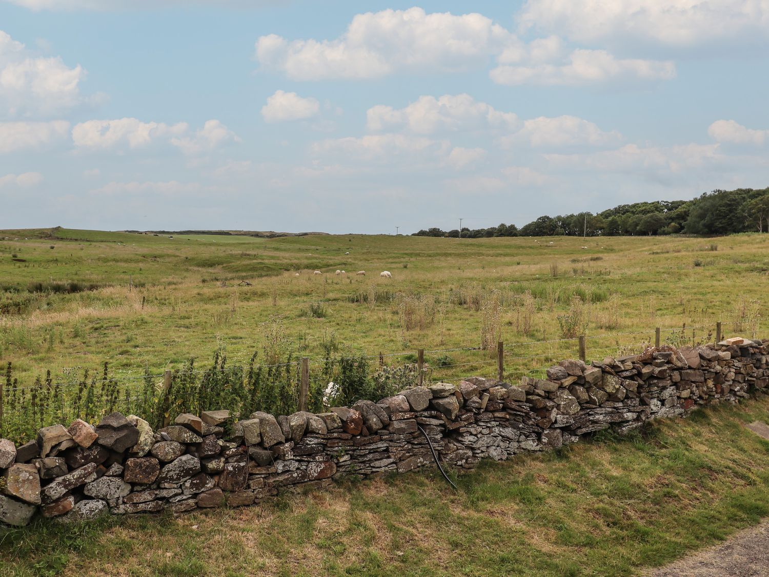 Budle Bay Cottage                     photo 14